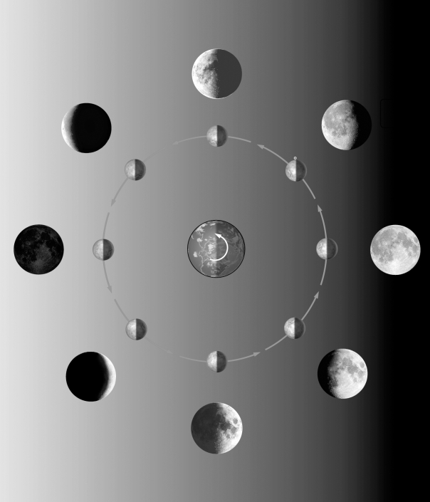 The figure below shows the different phases of the moon.Label each phase of the moon shown.