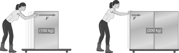 In the figure below,the woman pushes on each object with the same force.If the resulting acceleration of the 100 kg object is 1 m/s<sup>2</sup>,then the acceleration of the 200 kg object is 2 m/s<sup>2</sup>.