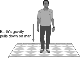 <strong>In the figure below,the force of gravity is drawn in the picture.This represents Earth's gravity pulling down on the man.According to Newton's third law,what is the other half of this pair of forces? </strong> A) The floor pushing up on the man. B) The man pushing on the floor. C) The man's gravity pulling up on the Earth. D) The floor pushing backwards on the man.