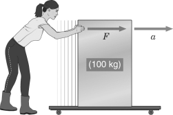 <strong>In the figure below,if the woman pushes with a force of 50 N,what will the acceleration of the container be? </strong> A) 0.5 m/s<sup>2</sup> B) 0.75 m/s<sup>2</sup> C) 1 m/s<sup>2</sup> D) 2 m/s<sup>2</sup>