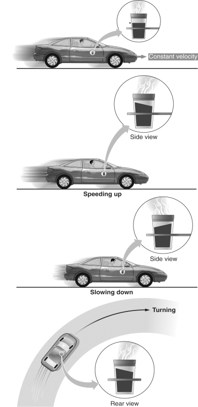 In the figure below,draw an arrow representing the direction of the acceleration in each case.If the acceleration is zero,write zero.