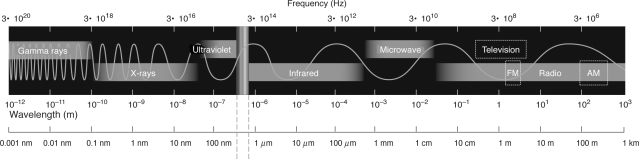 <strong>Using the figure below,which type of electromagnetic wave has a wavelength of approximately 10<sup>−5</sup> m? </strong> A) X-rays B) Infrared C) Microwave D) Radio