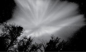 <strong>Examine the image below. Auroras are:</strong> A) gases fluorescing in the atmosphere B) the magnetosphere of Earth hitting its atmosphere C) the ozone layer being destroyed D) a product of the atmospheric greenhouse effect