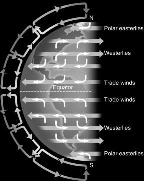 <strong>Examine the figure below.In the Southern Hemisphere,hurricanes __________ compared to hurricanes in the Northern Hemisphere due to the Coriolis effect. </strong> A) rotate in the opposite direction B) cause more damage C) move from east to west D) have larger wind speeds