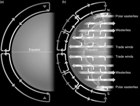 <strong>Examine the figure below.What is the main driver that causes Hadley circulation in a planet's atmosphere to break up into zonal winds? </strong> A) The planet's rapid rotation B) Heating from the solar wind C) Hurricanes developing along the planet's equator D) Convection driven by solar heating
