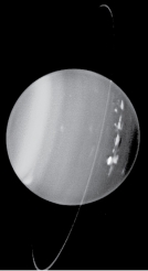 <strong>How do Uranus's rings differ from the ring systems of the other giant planets? </strong> A) Uranus has only one ring made up of fine dust. B) Uranus has the most spectacular ring system with many bright,wide rings. C) Uranus has 13 rings that are narrow and widely spaced. D) Uranus has rings that are clumped into several arclike segments.