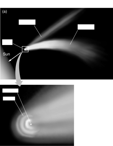 In the figure below,label each portion of the comet.