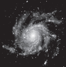 <strong>The image below is of a spiral galaxy. In spiral galaxies,the size of the central bulge is correlated with the:</strong> A) tightness of the spiral arms B) luminosity of the galaxy C) age of the galaxy D) thickness of the disk
