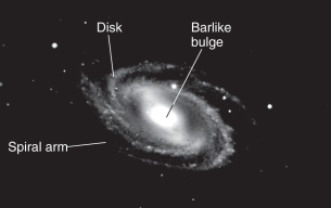 <strong>Approximately __________ of spiral galaxies are barred. </strong> A) 10 percent B) 25 percent C) 50 percent D) 75 percent