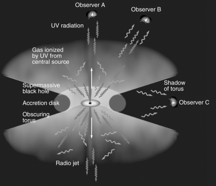 <strong>The figure below shows the unified model of AGNs along with three observers.Which observer would have the least ability to see detail in the object? </strong> A) Observer A B) Observer B C) Observer C D) All observers can equally see detail in the object.