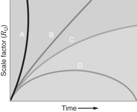 <strong>The figure below shows scale factor R<sub>U</sub> as a function of time over the age of the universe.Ignoring the presence of dark energy,which curve would represent a closed universe? </strong> A) Curve A B) Curve B C) Curve C D) Curve D
