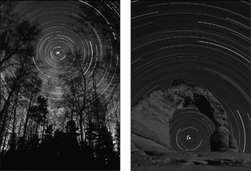The figure below is a time exposure of the sky,showing the motion of the stars through the night.What is the name for the stars that never rise or set below the horizon?