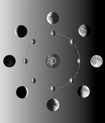 The figure below shows the different phases of the Moon.Label each phase of the Moon.What time would the full Moon be on your meridian? The new Moon?