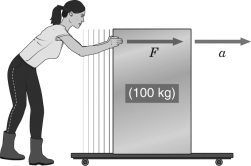 <strong>In the figure below,if the woman pushes with a force of 50 N,what will be the acceleration of the container? </strong> A) 0.5 m/s2 B) 0.75 m/s2 C) 1 m/s2 D) 2 m/s2