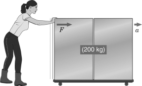 Examine the figure below.If the acceleration of the container is 2 m/s²,with what force did the woman push?