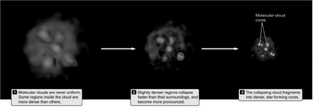 <strong>Examine the figure below.What causes molecular clouds to collapse? </strong> A) conservation of charge B) self-gravity C) thermal energy D) radiation