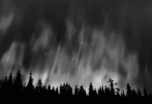 <strong>Examine the image below.   Auroras are:</strong> A) gases fluorescing in the atmosphere. B) the magnetosphere of Earth hitting its atmosphere. C) the ozone layer being destroyed. D) a product of the atmospheric greenhouse effect. <div style=padding-top: 35px> 