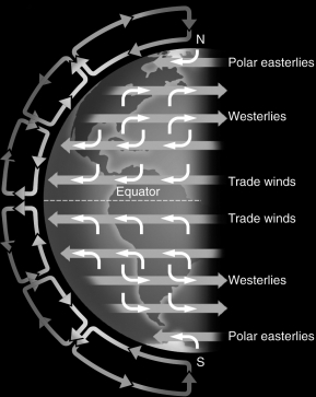 <strong>Examine the figure below.In the Southern Hemisphere,hurricanes ________ compared to hurricanes in the Northern Hemisphere because of the Coriolis effect.  </strong> A) rotate in the opposite direction B) cause more damage C) move from east to west D) have larger wind speeds <div style=padding-top: 35px> 