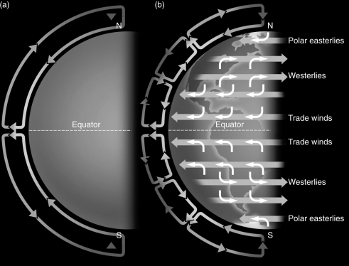 <strong>Examine the figure below.What is the main driver that causes Hadley circulation in a planet's atmosphere to break up into zonal winds?  </strong> A) the planet's rapid rotation B) heating from the solar wind C) hurricanes developing along the planet's equator D) convection driven by solar heating <div style=padding-top: 35px> 
