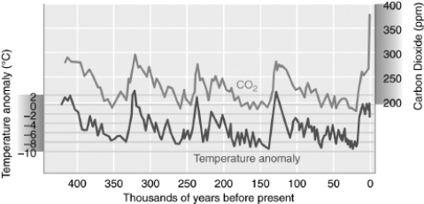 <strong>Examine the figure below.   The amount of carbon dioxide in Earth's atmosphere has been increasing over the past 50 years because of:</strong> A) global warming. B) the growth of the ozone hole. C) the burning of fossil fuels. D) increased energy output from the Sun. <div style=padding-top: 35px> 