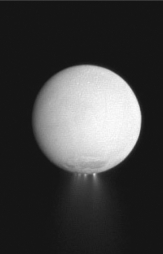 What material has been seen erupting from the surface (see the image below)of the icy moon Enceladus,and why?