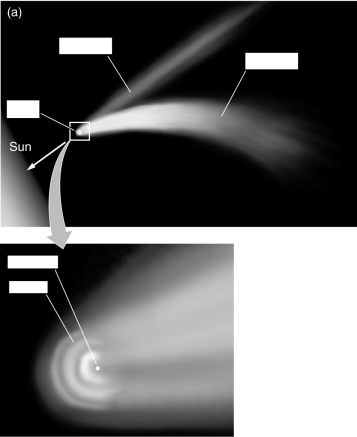 In the figure below,label each portion of the comet.