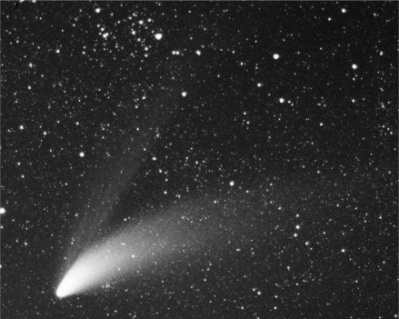 Examine the image below.Why does a comet usually have two tails,one that is straight and one that is curved? What materials compose each tail,and why do they have different shapes?