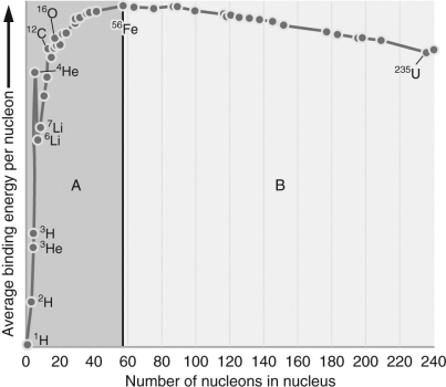 <strong>In the figure below,when elements from section A undergo fusion,energy is ________.Because of this fact,it would be ________ to find a high-mass main-sequence star with a high concentration of elements from section B. </strong> A) released; likely B) absorbed; likely C) released; unlikely D) absorbed; unlikely