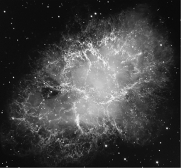 <strong>The Type II supernova that created the Crab Nebula (image below)was seen by Chinese and Arab astronomers in the year A.D.1054.Because the star is 6,500 light-years away from us,we know the star exploded in the year: </strong> A) A.D. 7554. B) A.D. 1054. C) 5446 B.C. D) 7554 B.C.