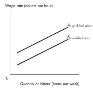 <strong>Use the figure below to answer the following question. Figure 18.3.3 Refer to Figure 18.3.3.At any given level of employment for high-skilled and low-skilled workers,the vertical distance between the two supply curves</strong> A)disappears if there is free entry into the skill market. B)disappears if there is equal pay for work of equal value. C)is created by discrimination against low-skilled workers. D)is the compensation required for the cost of acquiring human capital. E)equals the value of marginal product of skill.