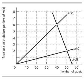 Use the figure below to answer the following questions.   Figure 16.3.2 -Figure 16.3.2 shows the marginal private cost curve,marginal social cost curve,and marginal social benefit curve for raising goats on a common pasture.The equilibrium in an unregulated market is