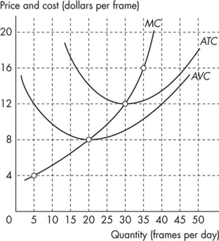 <strong>Use the figure below to answer the following question.   Figure 11.3.4 Refer to Figure 11.3.4,which shows the cost curves of Paul's Picture Frames Inc.The picture frame market is perfectly competitive and the market price is $12 a frame.Paul produces ________ frames each day and makes daily total revenue of ________.</strong> A)20;$240 B)20;$96 C)zero;zero D)30;$360 E)30;zero <div style=padding-top: 35px> 