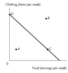 <strong>Use the figure below to answer the following questions.   Figure 9.1.1 Shelly's budget line is shown in Figure 9.1.1.Which points are affordable given her income and current prices?</strong> A)A only B)B only C)C only D)D only E)A,C,and D <div style=padding-top: 35px> 