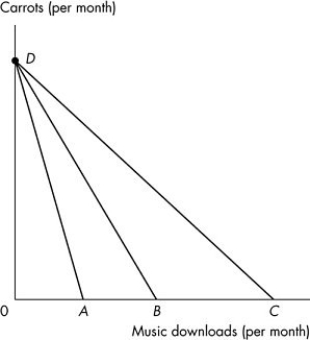 <strong>Use the figure below to answer the following questions.   Figure 9.1.2 Refer to Figure 9.1.2.Which budget line shows the greatest real income in terms of music downloads?</strong> A)AD B)BD C)CD D)Real income is equal for all three budget lines. E)Cannot be determined without studying the indifference curves. <div style=padding-top: 35px> 