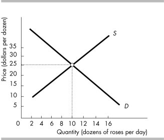 -In the above figure,a price of $35 per dozen would result in