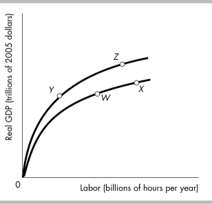 <strong> The country of Kemper is on its aggregate production function at point W in the above figure.The government of Kemper passes a law that makes 4 years of college mandatory for all citizens.After all citizens have their education,the economy will</strong> A) move to point such as Y. B) remain at point W. C) move to point such as X. D) move to point such as Z.