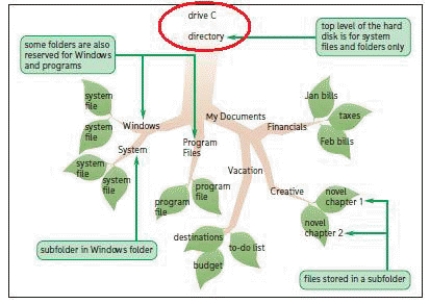 The accompanying figure displays the Windows file catalog._________________________