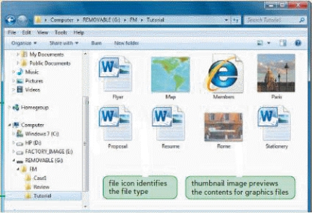<strong> The accompanying figure shows files in the Tutorial folder in ____ view.</strong> A) Small Icons B) Large Icons C) Thumbnails D) Preview