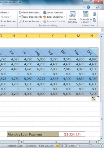 <strong> Referring to the figure above,the last entry shown in Column N is 7,200.There is a black plus sign on the lower right edge of the cell that is the ____.</strong> A) fill handle B) Auto Fill Options button C) formula finder D) function finder