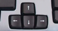 <strong>1. 2. 3. In the photo labeled 2. above, the key shown is the ____ key.</strong> A)shut down B)Windows C)Express D)function