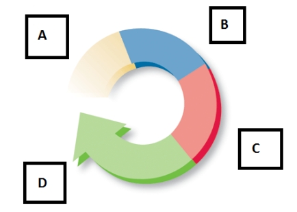 -The accompanying figure represents the instruction cycle.The fourth step is Box D and represents the ____.