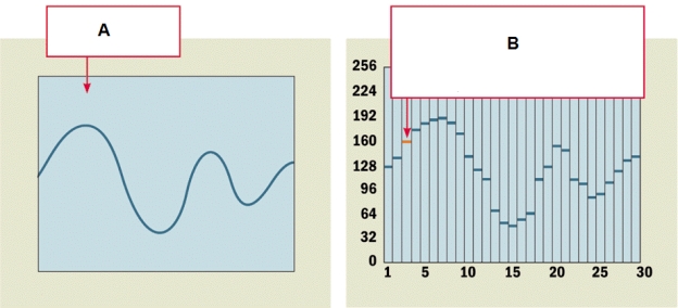-In the accompanying figure,box A indicates a type of wave,such as a sound wave,known as a(n)____________________ wave.