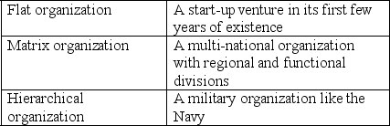 Match the organizational structure that you would find supporting the organization strategy of the following firms: