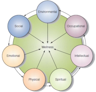 <strong>The nurse is working in the role of client health educator.Based on the information in the image,these concepts are components of which topic? </strong> A) Health B) Wellness C) Well-being D) Fitness