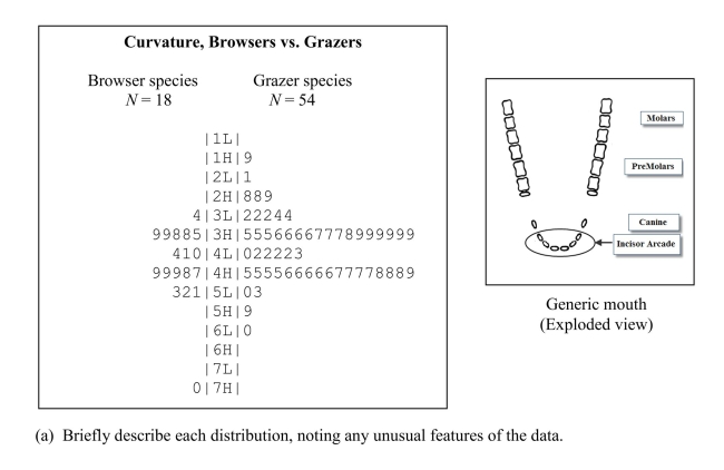Hoofed animals such as cattle and sheep are classified as browsers (leaf eaters) andgrazers (grass eaters). Some biologists believe that the incisor arcade of the teeth,diagrammed below, is shaped differently for browsers and grazers, affecting theirfood selection. The curvature of an incisor arcade is a measure of its shape; largevalues indicate a longer, thinner mouth and small values a shorter, wider mouth. Theback-to-back stem-and-leaf plot below compares the curvatures of incisor arcades fordifferent species of browsers and grazers. (b) Some biologists believe browsers have thinner mouths because leafed plantsfrequently have thorns and spines. They think that browsers have evolved thinnermouths to get beyond the thorns and spines to the food part of the plant. Are thedata in the back-to-back stem-and-leaf plot consistent with this theory? Justifyyour answer by appealing to specific aspect(s) of the plot.