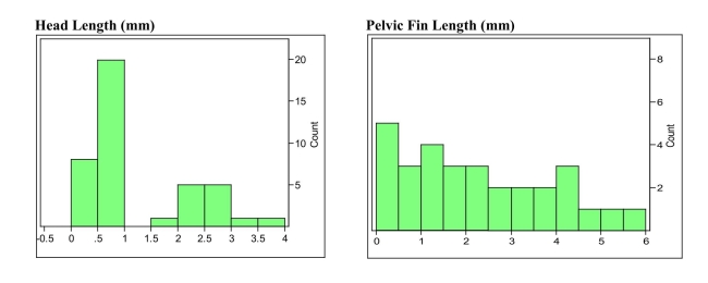 Marine biologists have reported the discovery of a new species of fish in the WesternNorth Atlantic. Data on the head length (n=41) and pelvic fin length (n=30) areshown below. a) Describe the distributions of these two variables using appropriate statisticalterms. b) The distribution of head lengths appears to be rather strange. What do you thinkmight account for the shape of this distribution?