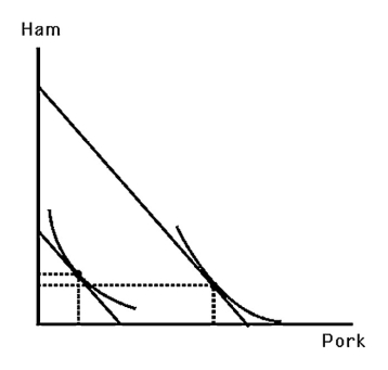 <strong> The above figure shows Larry's indifference map and budget lines for ham and pork.Which of the following statements is TRUE?</strong> A) Larry's Engel curve for pork will be upward sloping. B) Larry's Engel curve for pork will be downward sloping. C) Larry's Engel curve for pork will be backward bending. D) Larry's Engel curve for pork cannot be derived from the information provided.