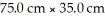 What is the thickness in mm of the sheet   Formed by   Atoms of lead? The density of lead is 11.35 g/cm<sup>3</sup>.