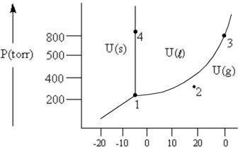 <strong>According to the phase diagram given,which of the following is INCORRECT?  </strong> A)At the temperature and pressure of point 1,substance U exists as a three-phase equilibrium system. B)At the temperature and pressure of point 2,substance U exists as a one-phase gaseous system. C)At the temperature and pressure of point 3,substance U exists as a two-phase system. D)If the U(s)⇔ U(l)system is maintained at the temperature of point 4 while pressure is decreased steadily to about 300 Torr,more U will freeze. E)There are no conditions of temperature and pressure under which solid U will vaporize without melting first. <div style=padding-top: 35px> 