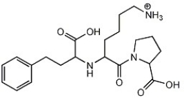 <strong>How many chiral carbon atoms can you find in the molecule below? </strong> A)0 B)1 C)2 D)3 E)4